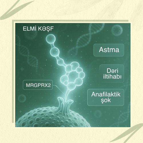 Allergy, Asthma, Anaphylactic Shock? This Molecule Might Stop Them